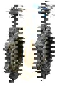 LF 6 CI 200# BRZ EPDM LUG BFV LO